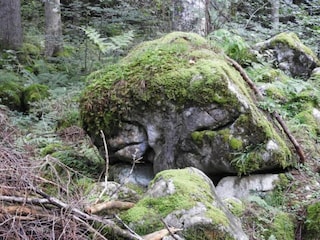 Apartment Hittisau Umgebung 19