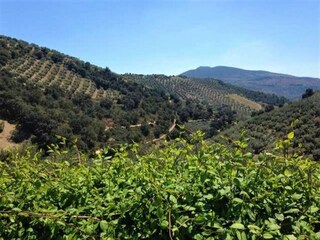 Casa vacanze Algarinejo Registrazione all'aperto 11