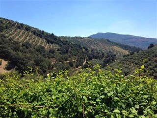 Vakantiehuisje Algarinejo Buitenaudio-opname 14