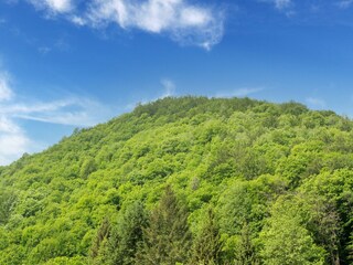 Casa per le vacanze Murialdo Ambiente 35