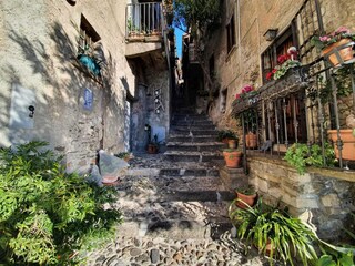 Apartment Vestreno Environment 36