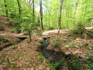 Vakantiehuis Weinbourg Omgeving 22