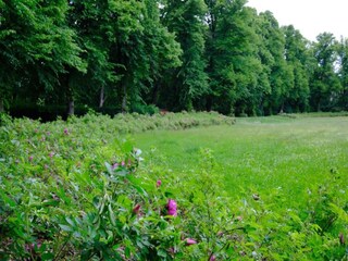 Apartment Monterchi Environment 32