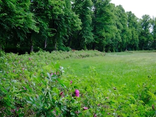 Apartment Monterchi Umgebung 32