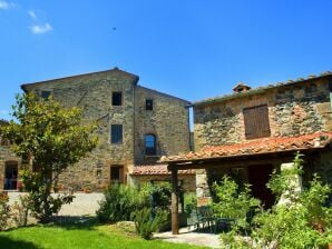 Altes Ferienhaus in Castelnuovo di Val di Cecina mit Garten - Radicondoli - image1