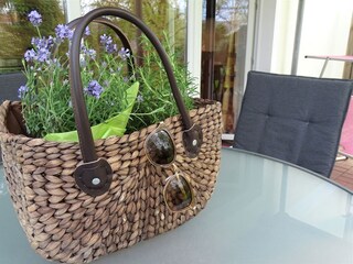 Ferienwohnung Kellenhusen Außenaufnahme 4