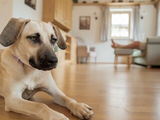 Appartamento Grundlsee Registrazione all'aperto 57