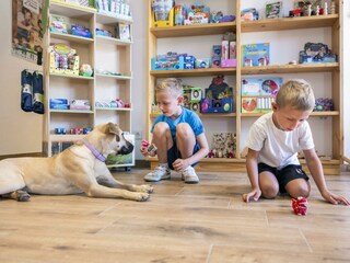 Appartement Grundlsee Buitenaudio-opname 81