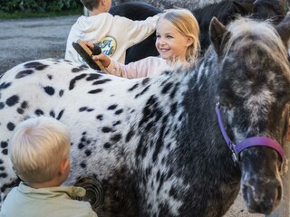 Appartamento Grundlsee Registrazione all'aperto 108