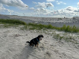 Maison de vacances Stavoren Environnement 28