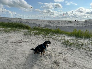 Holiday house Stavoren Environment 34