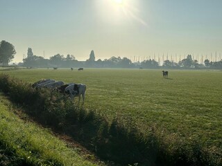 Casa de vacaciones Stavoren Entorno 26