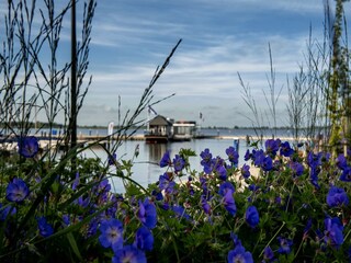 House boat Sneek  39