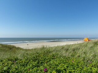 Vakantieappartement Callantsoog Omgeving 16