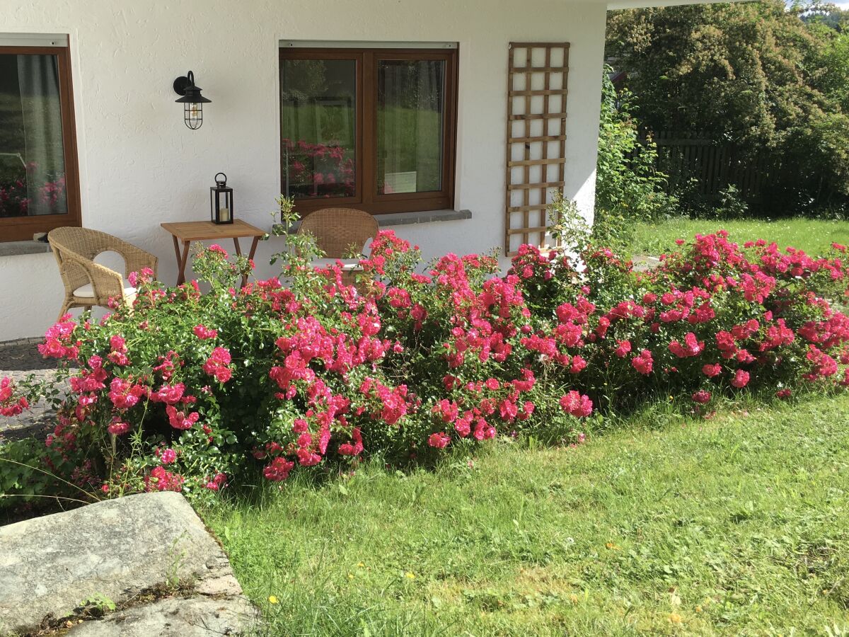 Blick auf die Terrasse