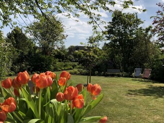 Vakantiehuis Domburg Omgeving 15