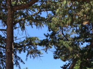 Vakantiehuis Domburg Omgeving 16