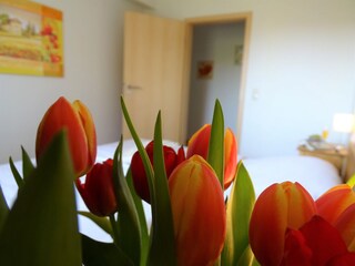 Ferienwohnung Kellenhusen Ausstattung 14