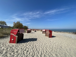 Strand Schönhagen