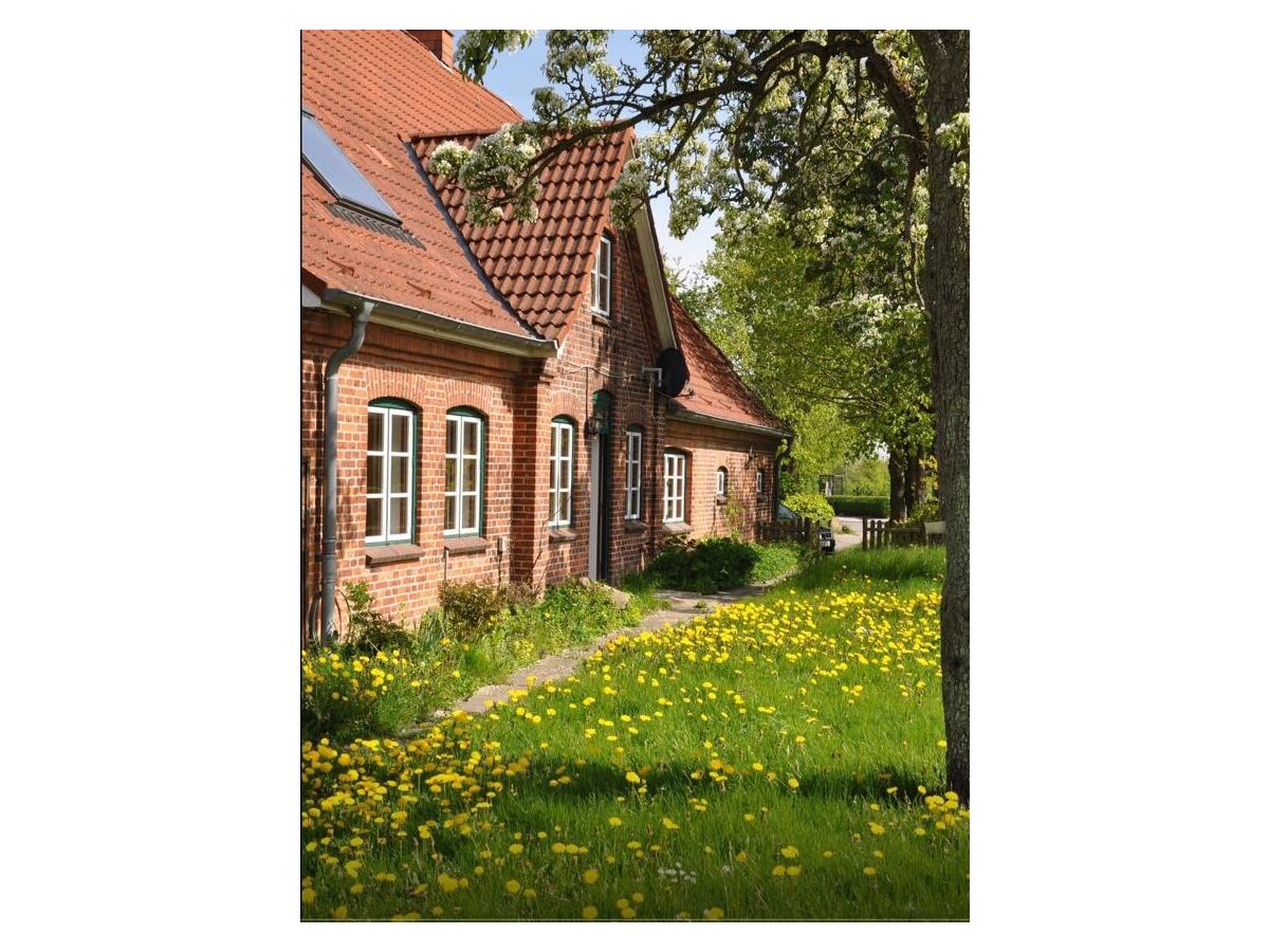 Ferienwohnung Hohenfelde an der Ostsee Außenaufnahme 1