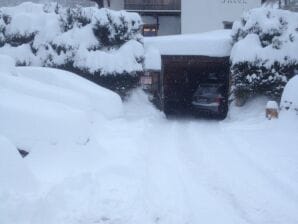 Ferienwohnung Albino 1