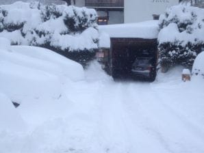 Ferienwohnung Albin 1