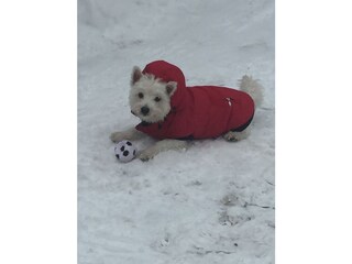 Appartamento per vacanze Sölden  25