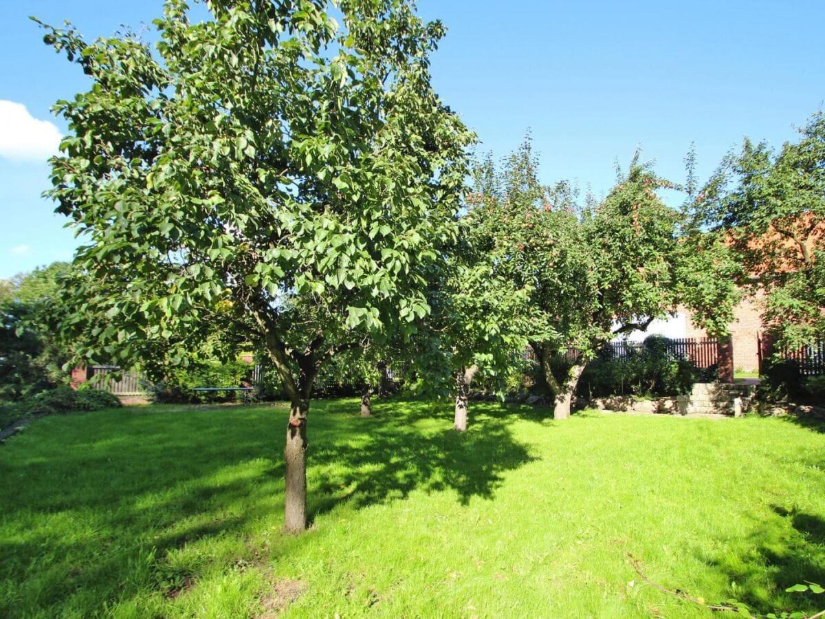 Ferienhaus Lenzen Außenaufnahme 1