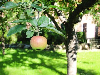 Casa per le vacanze Lenzen Registrazione all'aperto 3