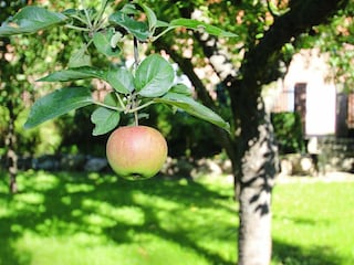 Maison de vacances Lenzen Enregistrement extérieur 3