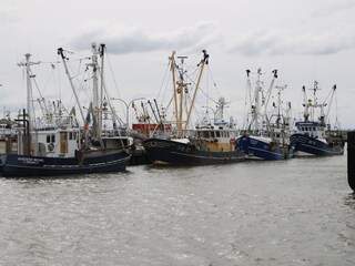 Der  bekannte Büsumer Hafen