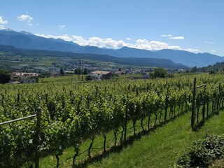 Apartamento Eppan Entorno 27