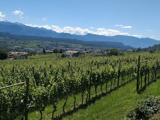 Appartement Eppan Environnement 27