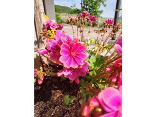 Appartamento Eppan Ambiente 30