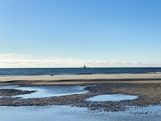 Strandspaziergang bei Sonnenschein