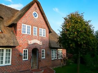 das Haus Hafis