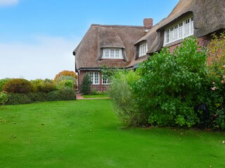 der wunderschöne Garten