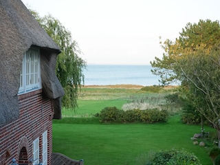 Ausblick aus dem Fenster