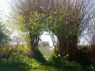 Casa de vacaciones Damp Grabación al aire libre 10