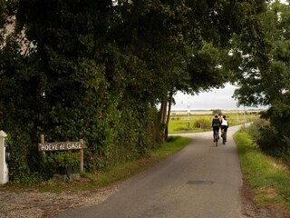 Vakantiehuis De Koog Omgeving 22