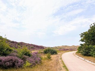 Vakantiehuis De Koog Omgeving 23