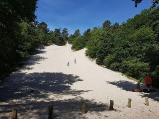 Vakantiehuis De Koog Omgeving 32