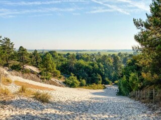 Vakantiehuis De Koog Omgeving 25