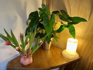 Holiday house Bergen (Holland) Features 7