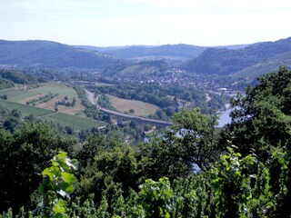 Aussicht vom Saarweinwanderweg