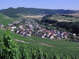 Blick auf Ockfen von den Weinbergen