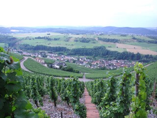 Panoramaaussicht