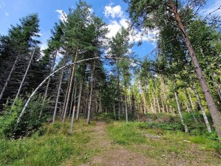 Ferienhaus Bruzaholm  34