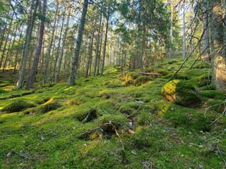 Holiday house Bruzaholm  26