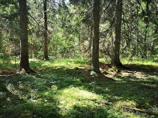 Holiday house Bruzaholm  18